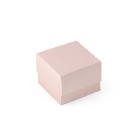 Jolie Boîte Cadeau avec Fermeture et Noeud Décoratif