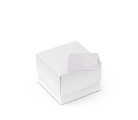 Graziosa Scatola Regalo con Coperchio e Fiocco Decorativo 