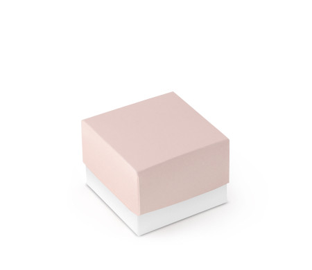 Bonita Caja Regalo con Tapa y Lazo Decorativo