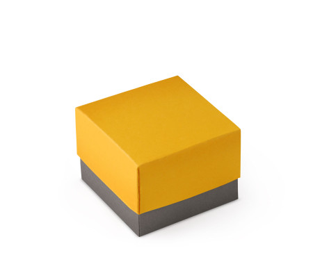 Bonita Caja Regalo con Tapa y Lazo Decorativo