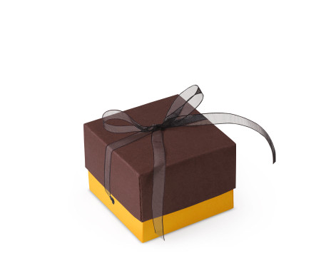 Jolie Boîte Cadeau avec Fermeture et Noeud Décoratif