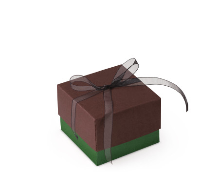 Bonita Caja Regalo con Tapa y Lazo Decorativo