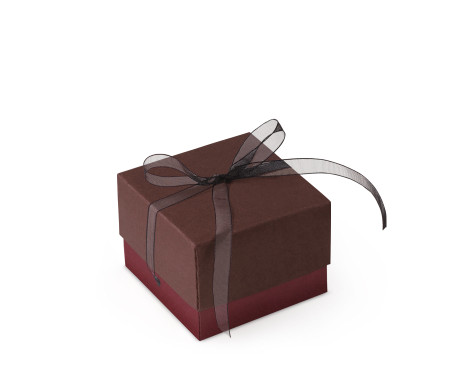 Graziosa Scatola Regalo con Coperchio e Fiocco Decorativo 
