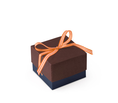 Bonita Caja Regalo con Tapa y Lazo Decorativo