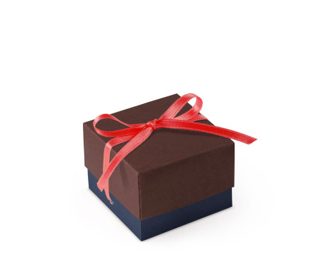 Jolie Boîte Cadeau avec Fermeture et Noeud Décoratif