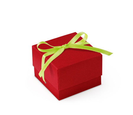 Bonita Caja Regalo con Tapa y Lazo Decorativo