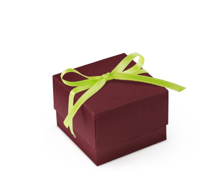 Bonita Caja Regalo con Tapa y Lazo Decorativo