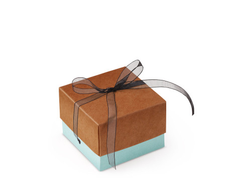 Graziosa Scatola Regalo con Coperchio e Fiocco Decorativo 