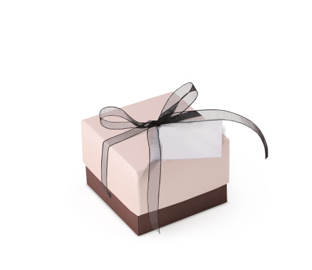 Bonita Caja Regalo con Tapa y Lazo Decorativo