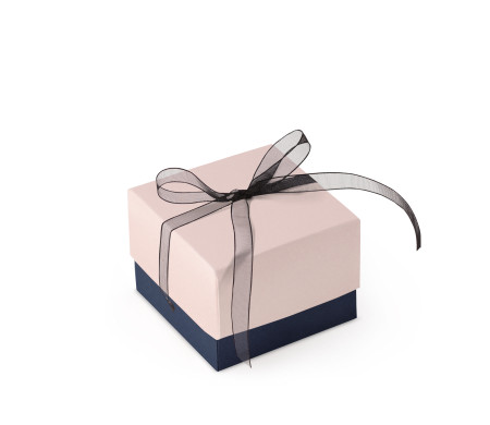 Schöne Geschenkbox mit Deckel und Schleife