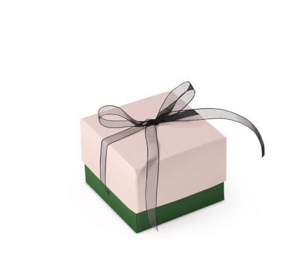 Schöne Geschenkbox mit Deckel und Schleife