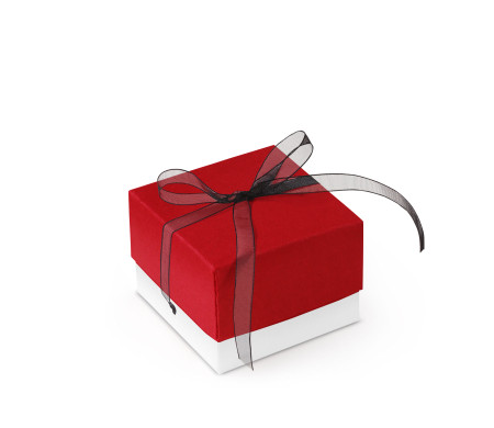 Jolie Boîte Cadeau avec Fermeture et Noeud Décoratif