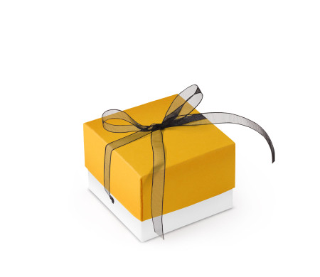 Bonita Caja Regalo con Tapa y Lazo Decorativo