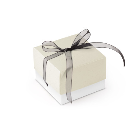 Schöne Geschenkbox mit Deckel und Schleife