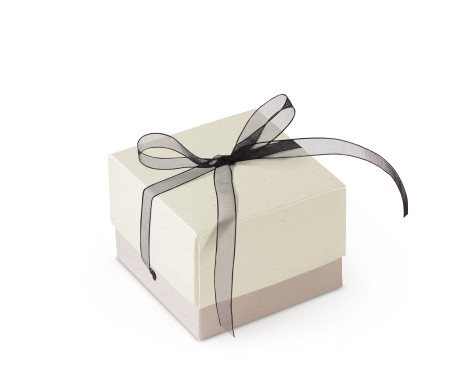 Bonita Caja Regalo con Tapa y Lazo Decorativo