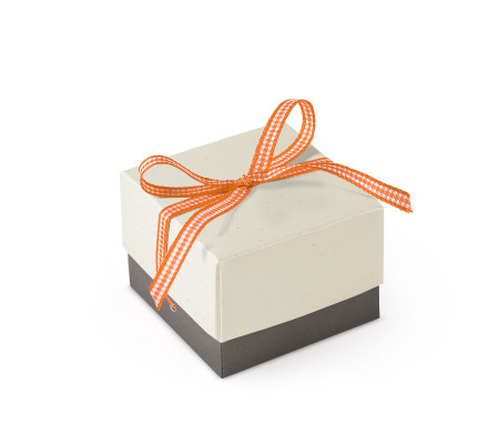 Graziosa Scatola Regalo con Coperchio e Fiocco Decorativo 