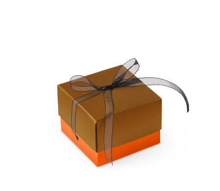 Bonita Caja Regalo con Tapa y Lazo Decorativo