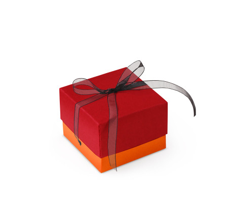 Bonita Caja Regalo con Tapa y Lazo Decorativo