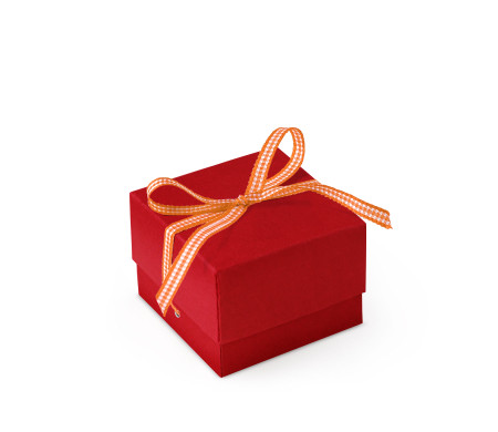 Jolie Boîte Cadeau avec Fermeture et Noeud Décoratif