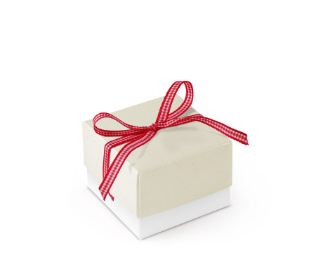Graziosa Scatola Regalo con Coperchio e Fiocco Decorativo 