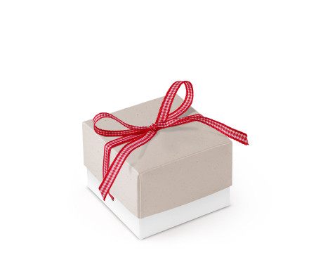 Jolie Boîte Cadeau avec Fermeture et Noeud Décoratif