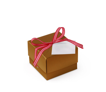 Graziosa Scatola Regalo con Coperchio e Fiocco Decorativo 