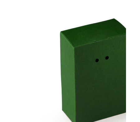 Boîte Cadeau en Carton avec Fermeture Originale