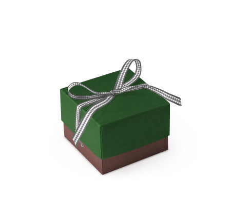 Bonita Caja Regalo con Tapa y Lazo Decorativo