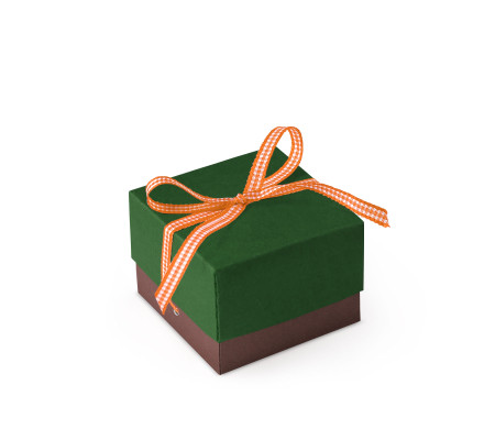 Schöne Geschenkbox mit Deckel und Schleife