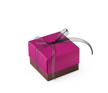 Jolie Boîte Cadeau avec Fermeture et Noeud Décoratif