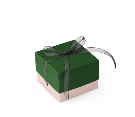 Schöne Geschenkbox mit Deckel und Schleife