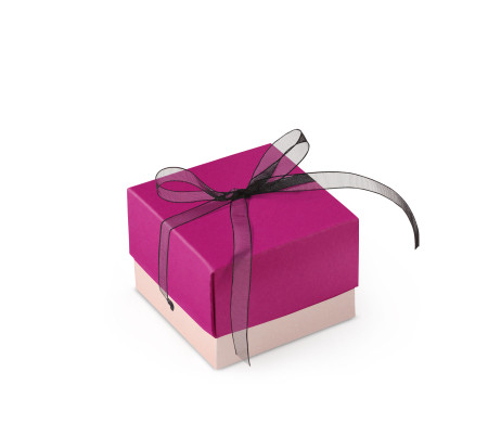 Bonita Caja Regalo con Tapa y Lazo Decorativo