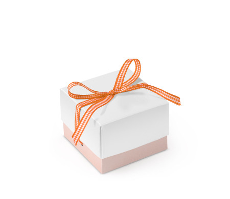 Jolie Boîte Cadeau avec Fermeture et Noeud Décoratif