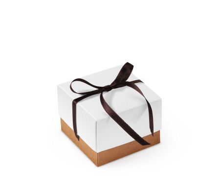 Schöne Geschenkbox mit Deckel und Schleife