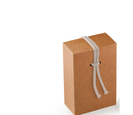Scatola Regalo in Cartone con Un'Originalissima Chiusura