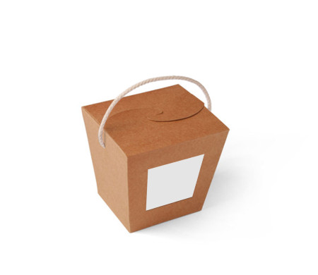 Chinese Noodle Box