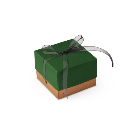 Bonita Caja Regalo con Tapa y Lazo Decorativo