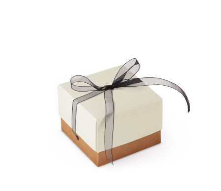 Jolie Boîte Cadeau avec Fermeture et Noeud Décoratif