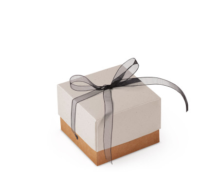 Schöne Geschenkbox mit Deckel und Schleife