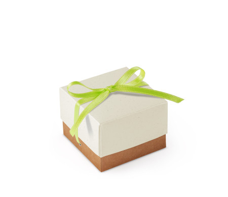 Jolie Boîte Cadeau avec Fermeture et Noeud Décoratif