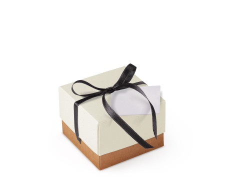 Bonita Caja Regalo con Tapa y Lazo Decorativo