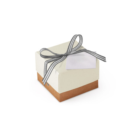 Bonita Caja Regalo con Tapa y Lazo Decorativo