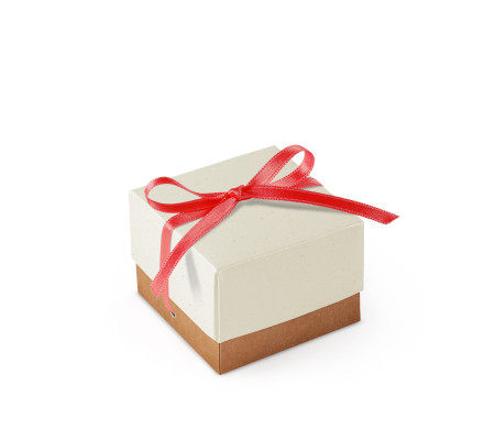Bonita Caja Regalo con Tapa y Lazo Decorativo