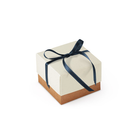 Bonita Caja Regalo con Tapa y Lazo Decorativo