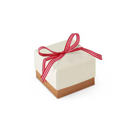 Bonita Caja Regalo con Tapa y Lazo Decorativo