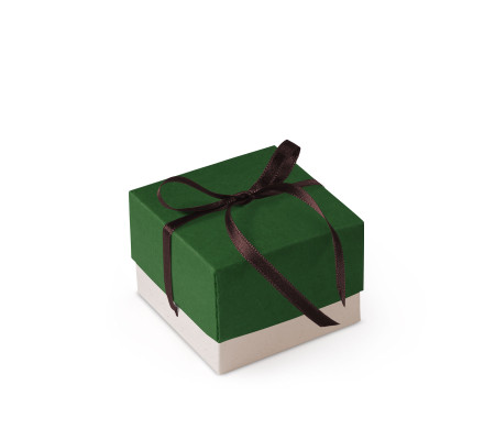Bonita Caja Regalo con Tapa y Lazo Decorativo