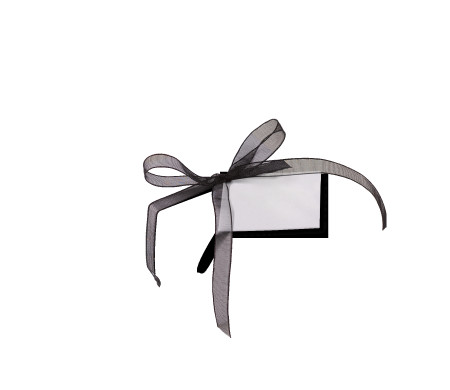 Schöne Geschenkbox mit Deckel und Schleife