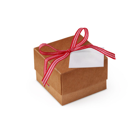 Bonita Caja Regalo con Tapa y Lazo Decorativo