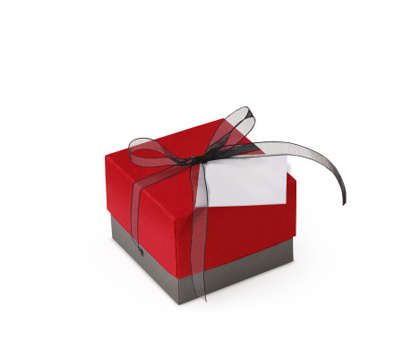 Graziosa Scatola Regalo con Coperchio e Fiocco Decorativo 
