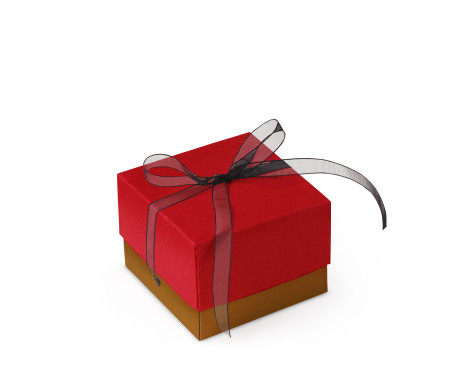 Bonita Caja Regalo con Tapa y Lazo Decorativo